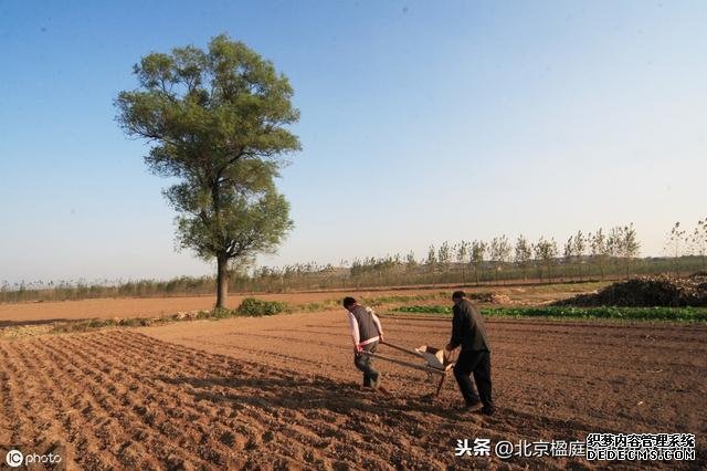 不管怎样狡辩，不按这10步征收农村土地，征收方要承担法律责任！