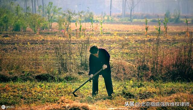 「每天1个征地拆迁常识」哪些人有权获得安置补助费？