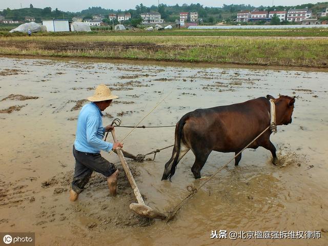 怎样收回集体土地使用权？