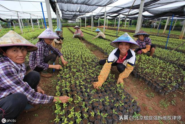 种植养殖场被禁养关停和拆除，这7项损失补偿，一个也不能少